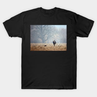Shepherd and his dogs T-Shirt